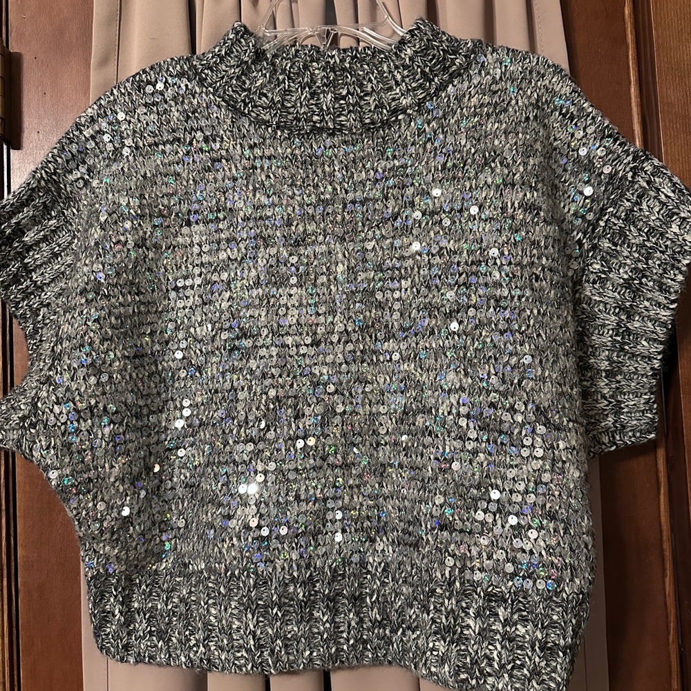 Super cute sparkly mid crop, short sleeve sweater!